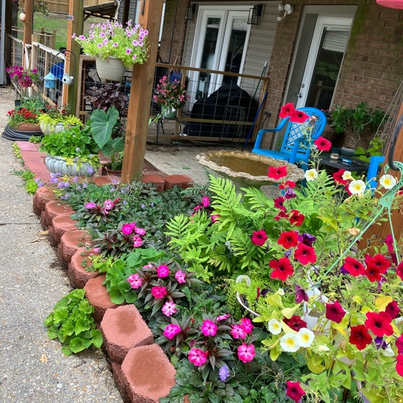 LIKE THIS POST TO BE NOTIFIED OF UPCOMING POSH SHOWS - Picture 2 of 2